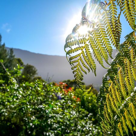 Au Coeur Du Paradis Cilaos Exterior foto